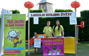 Lingula, ta jezična šola | Lingulin kitajski živžav v Arboretumu