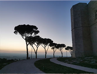 Lingula | Castel Monte