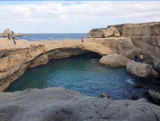 Lingula | Grotte