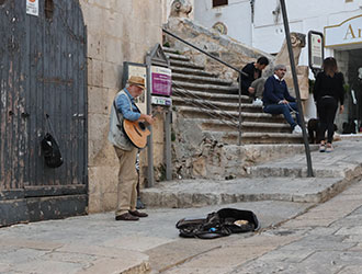 Lingula | Ostuni