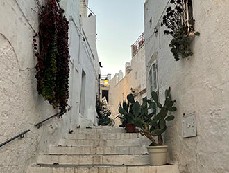 Lingula | Ostuni